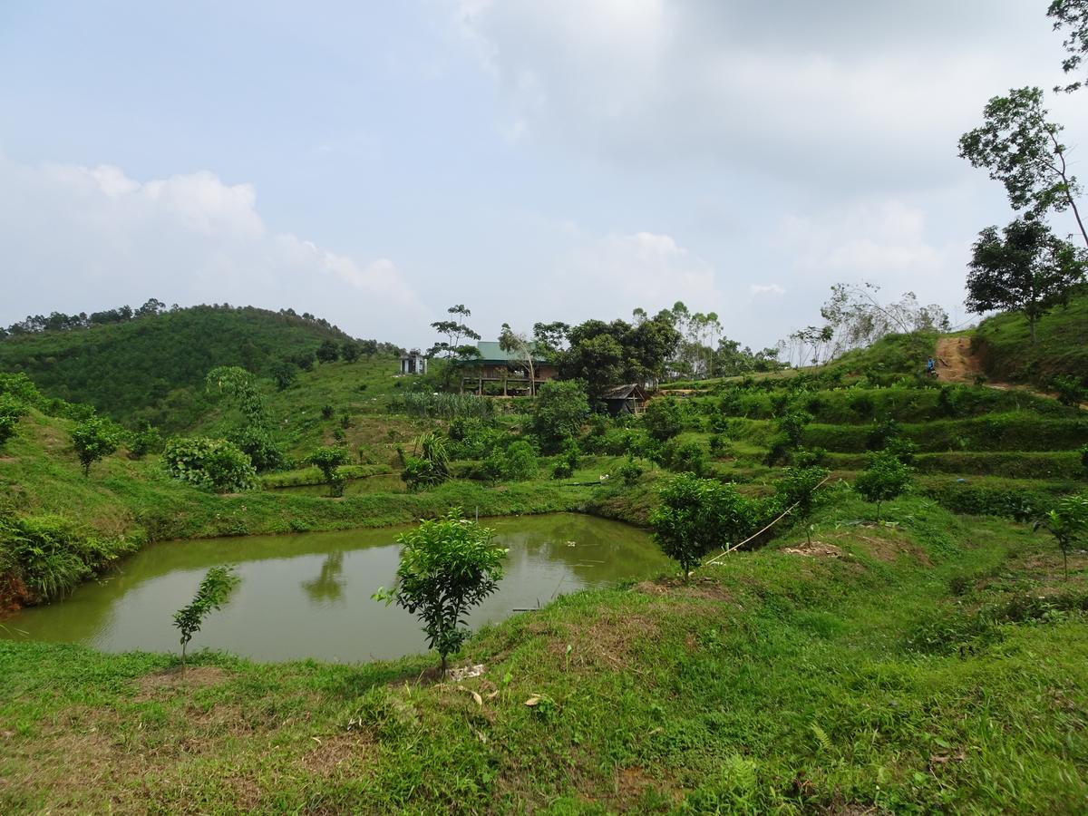 Thac Ba Family Homestay Ho To Eksteriør billede